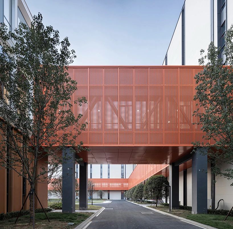 A touch of orange under the white coat