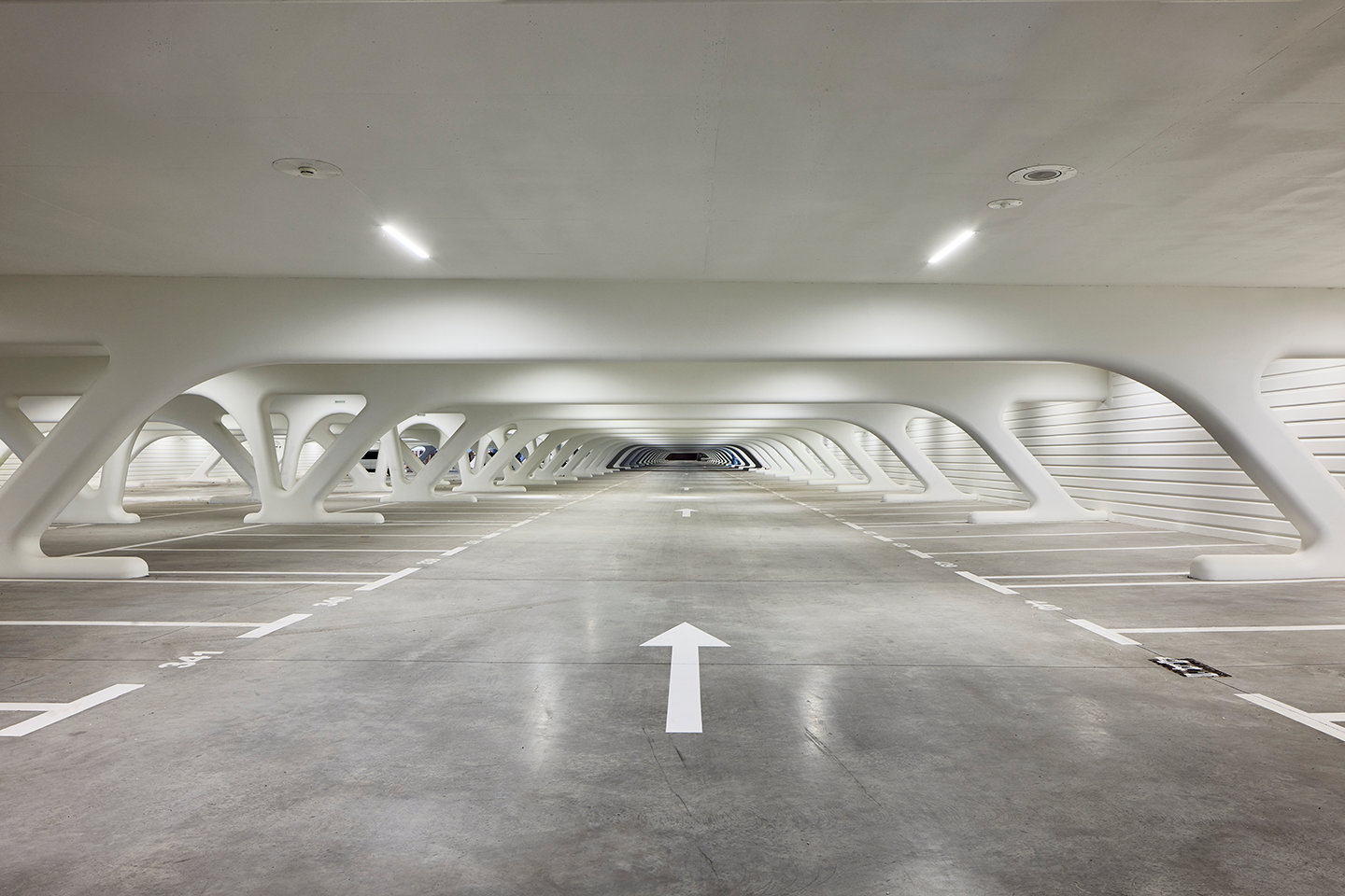 卡拉特拉瓦新作：比利时蒙斯火车站