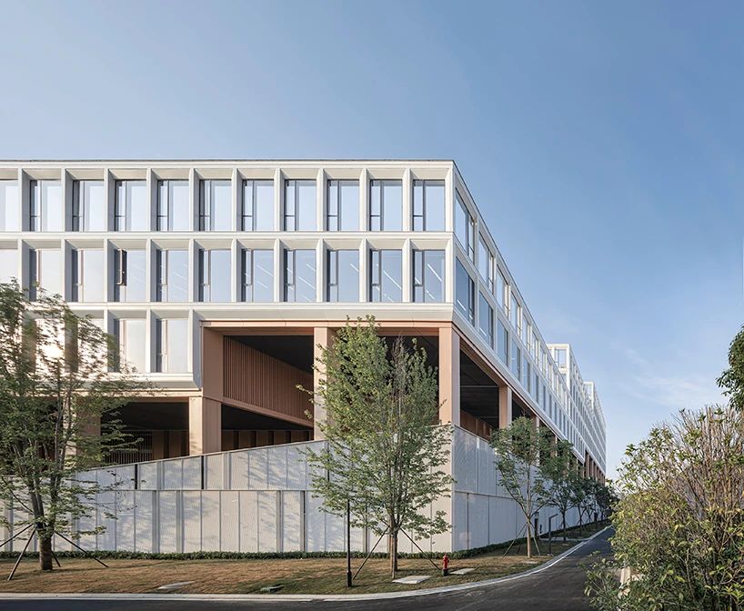 白色外衣下的一抹“橙”